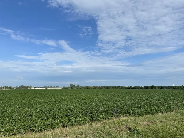 a view of a lush green field