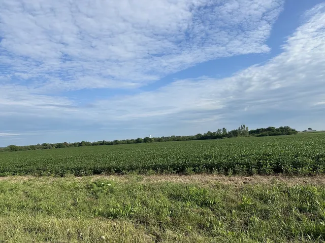 a view of a green field