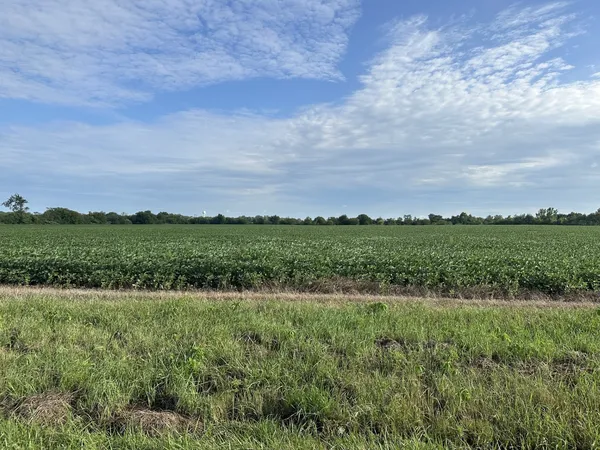 a view of a field with an ocean and trees