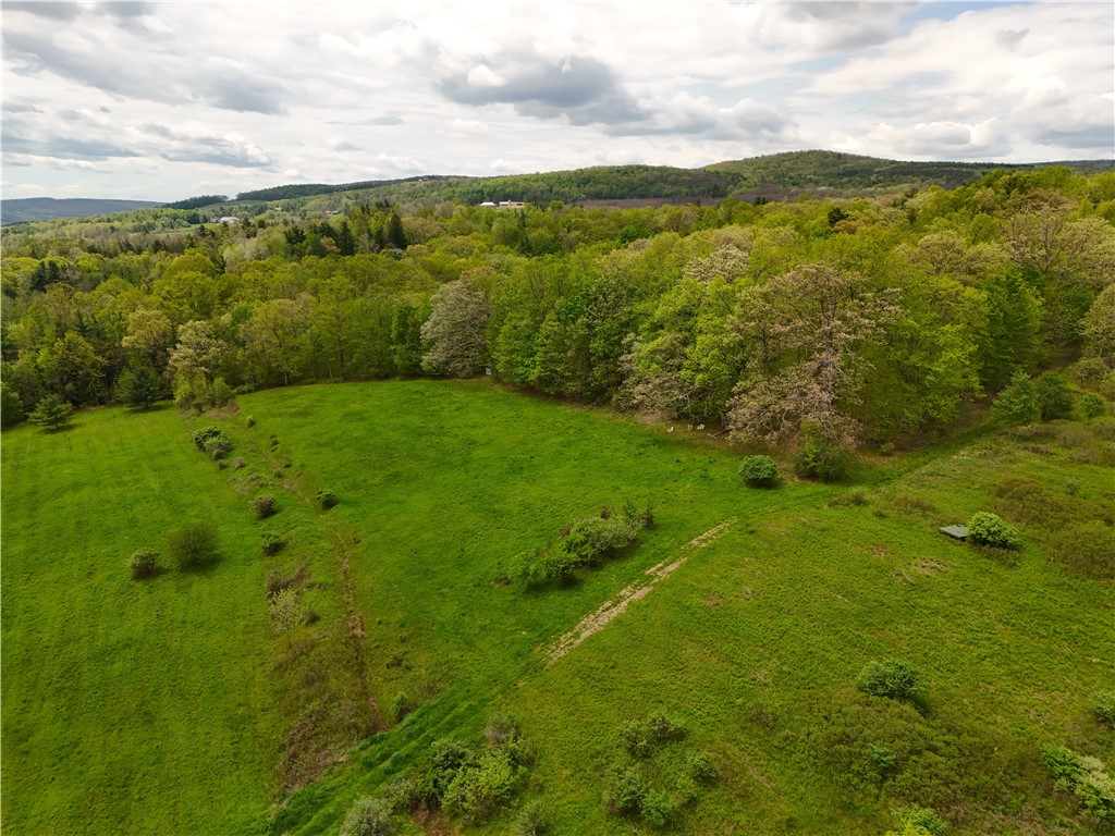 0 Middle Road Hammondsport, NY 14840 - Photo 10 of 20