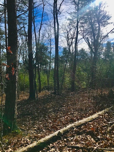 0 Mud Road Graysville, TN 37338 - Photo 9 of 19 Gallery Image 9