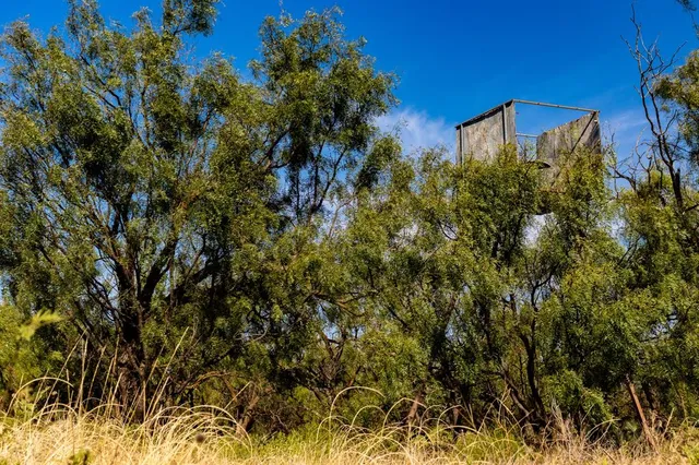 a view of a water with a mountain in the background