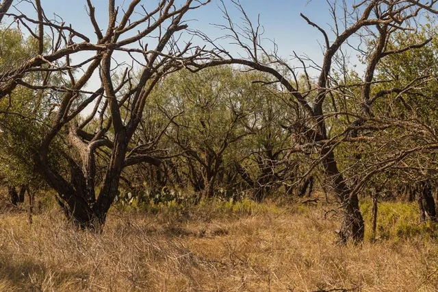 a view of a water view