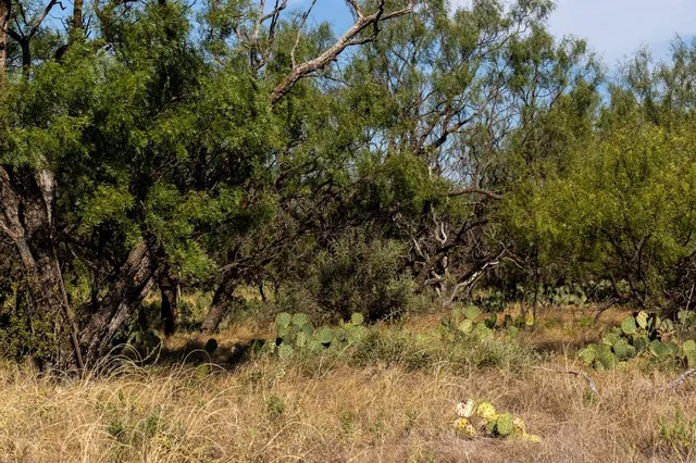 a view of an ocean with beach