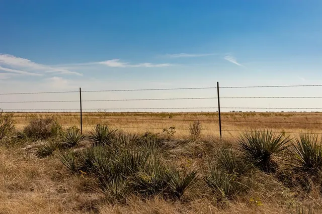 a view of a lake and mountain in the back