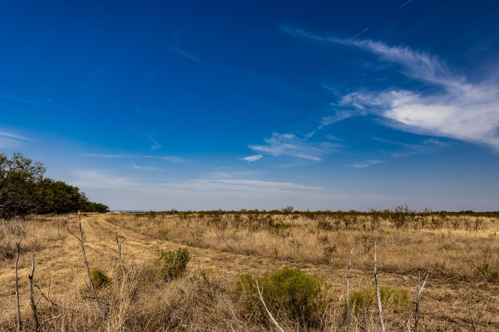 242 County Road 242 Clyde, TX 79510 - Photo 21 of 40