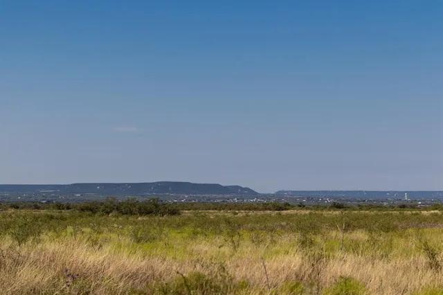 a view of a tree in a yard