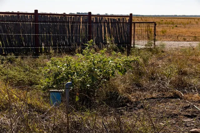 $1,675,000 | 242 County Road 242, Clyde, TX 79510