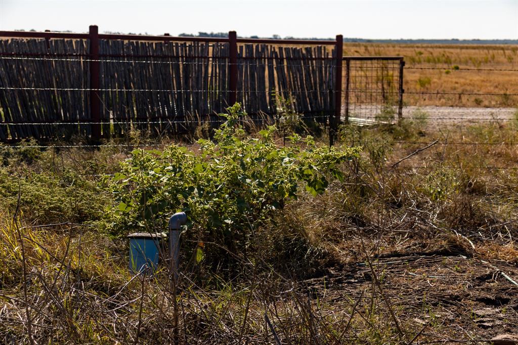 242 County Road 242 Clyde, TX 79510 - Photo 32 of 40 a view of a garden
