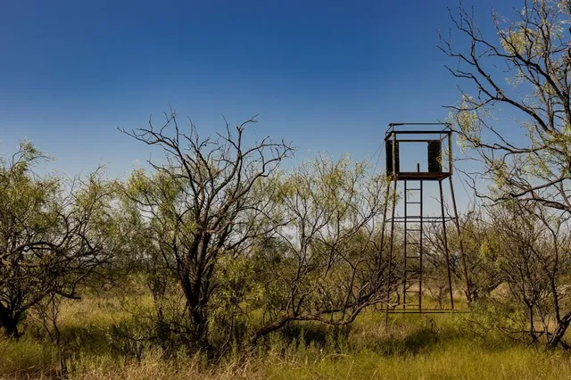 $1,675,000 | 242 County Road 242, Clyde, TX 79510