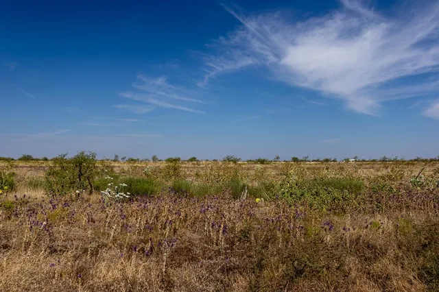 $1,675,000 | 242 County Road 242, Clyde, TX 79510