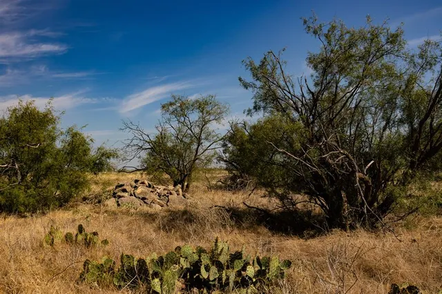 $1,675,000 | 242 County Road 242, Clyde, TX 79510