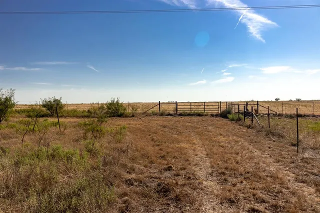 a view of a tree in a yard