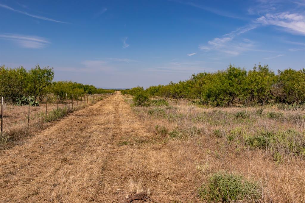 242 County Road 242 Clyde, TX 79510 - Photo 10 of 40 a view of a yard