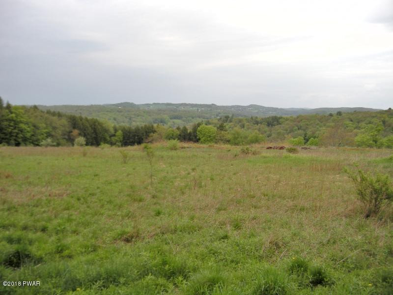 281 New Turnpike Road Cochecton, NY 12726 - Photo 2 of 10