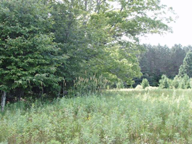 Near Bert Schmidt Road Glidden, WI 54527 - Photo 6 of 6 Gallery Image 6