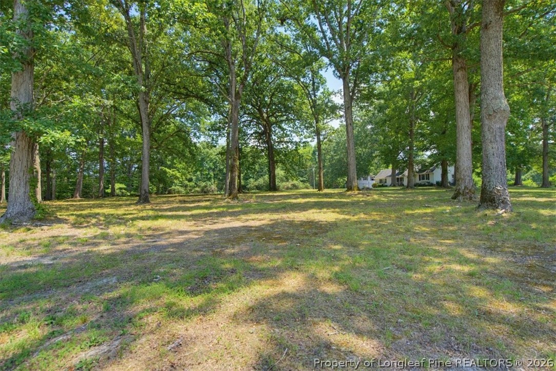 3055 Cedar Hill Road Robbins, NC 27325 - Photo 40 of 50 Gallery Image 40