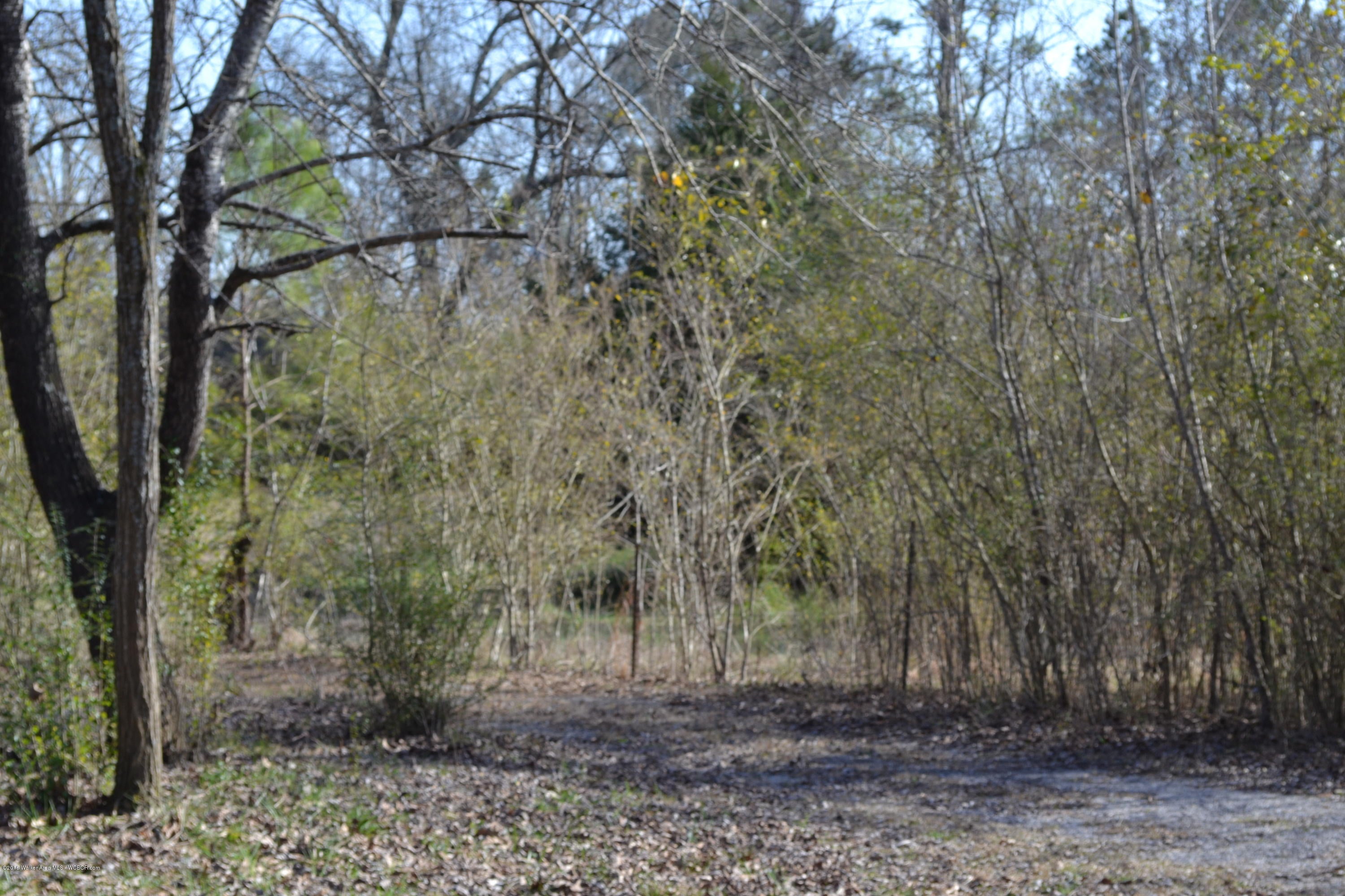 671 Debardeleben Lake Road Jasper, AL 35504 - Photo 29 of 31 Gallery Image 29
