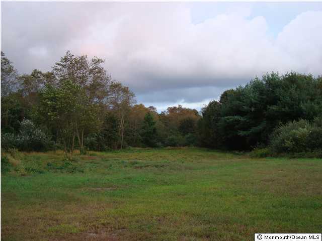 48 Charleston Spring Road Millstone Township, NJ 08510 - Photo 1 of 3 a view of outdoor space with green field and trees around