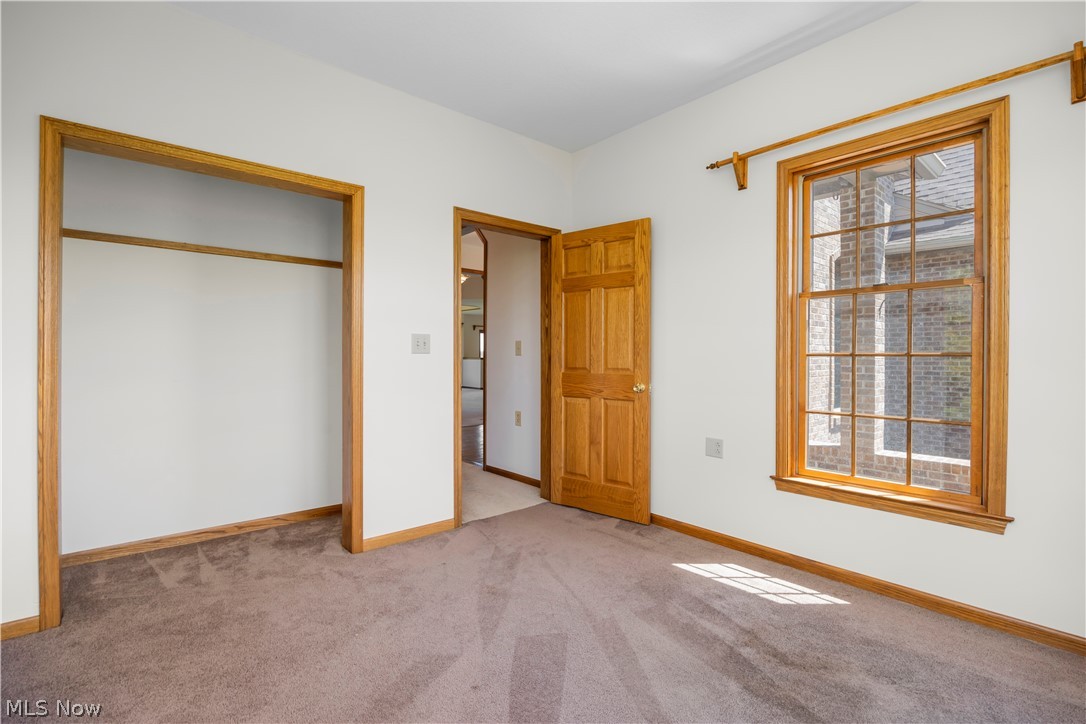 51488 Peck Wadsworth Road Wellington, OH 44090 - Photo 18 of 50 Light-filled room featuring a large window with grid panes, natural wood trim, plush carpet, and a spacious closet opening