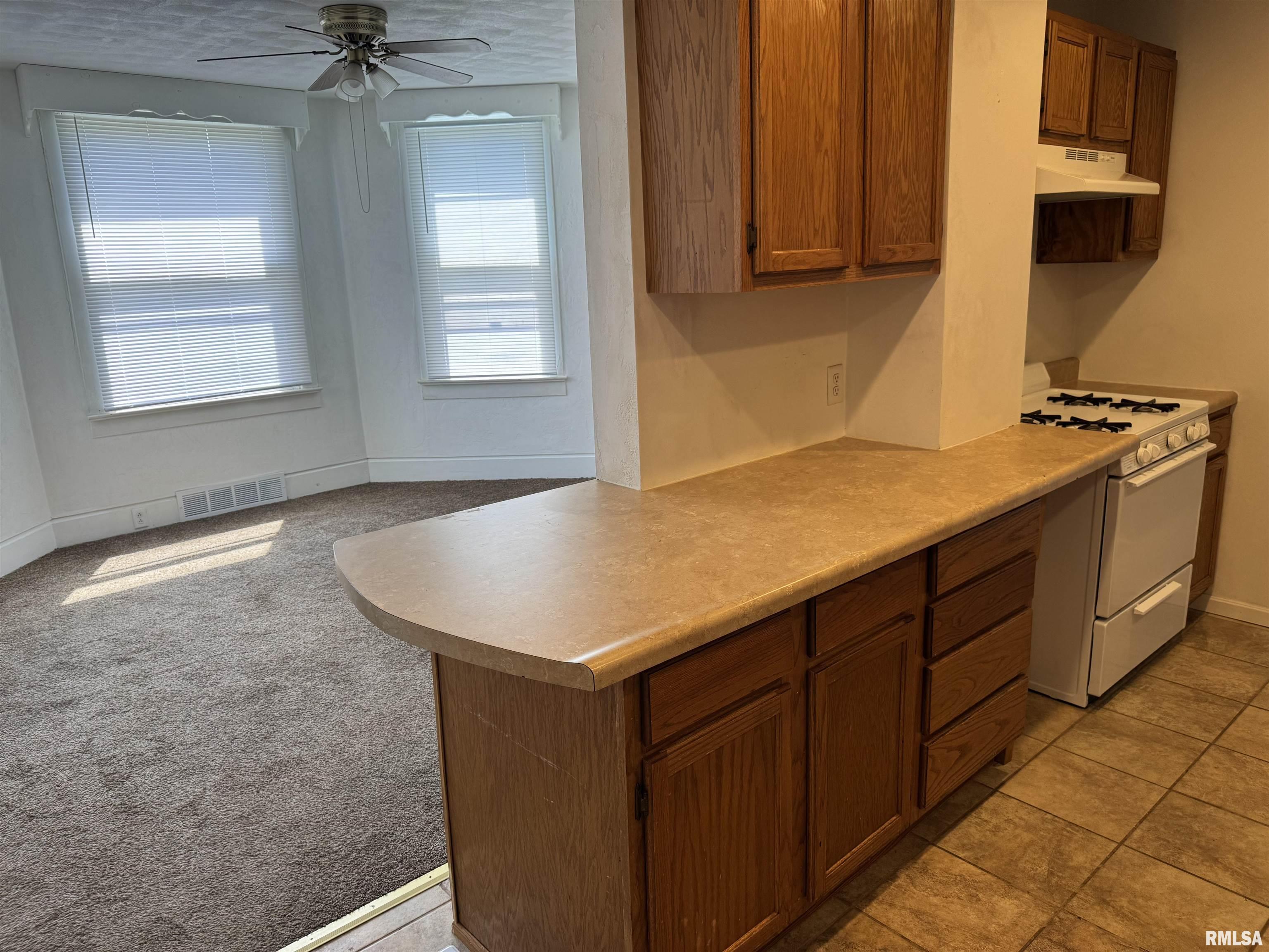 827 South 10th Street Havana, IL 62644 - Photo 6 of 26