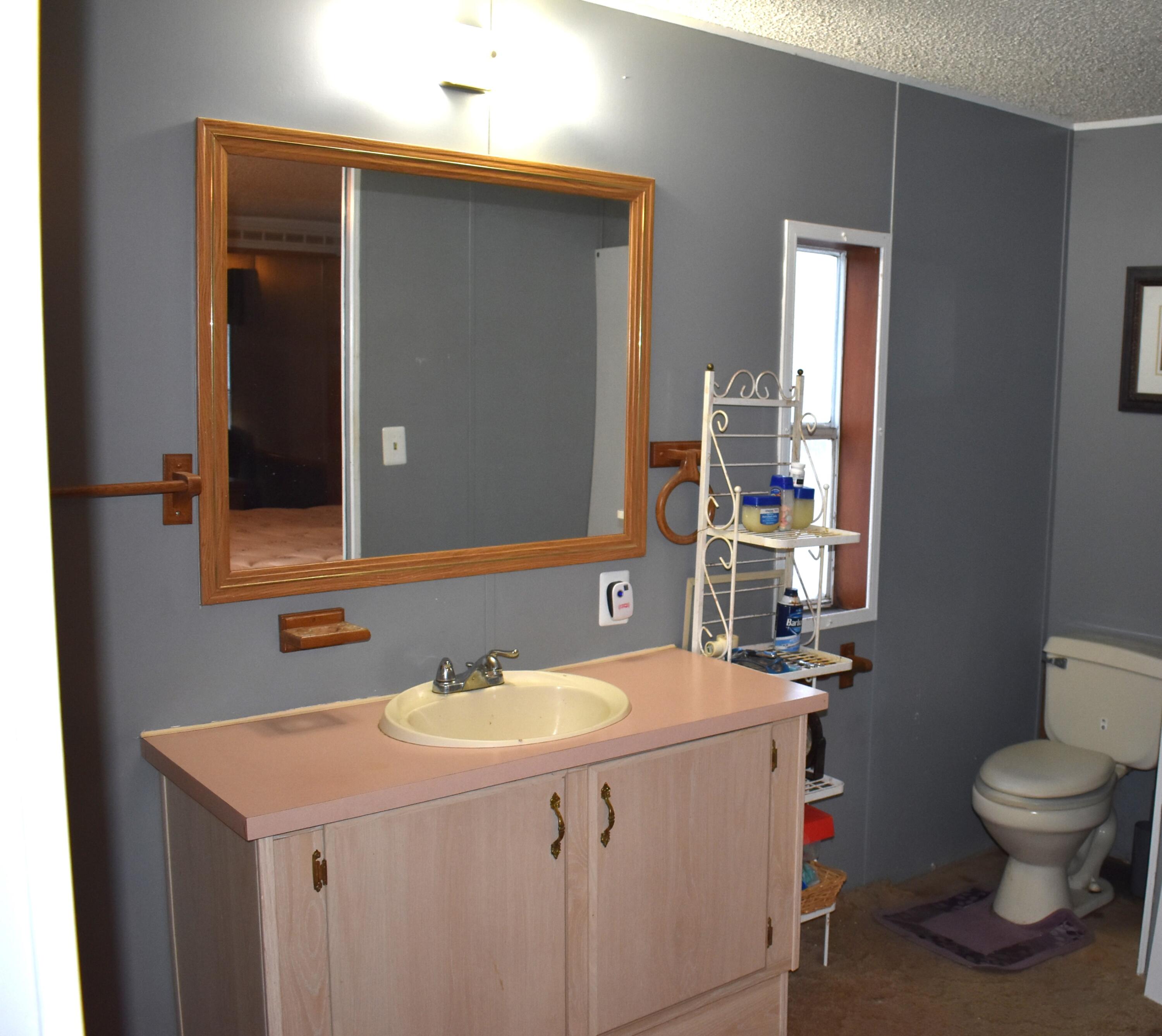 6595 Gooselake Road Indian River, MI 49749 - Photo 26 of 36 Gallery Image 26
