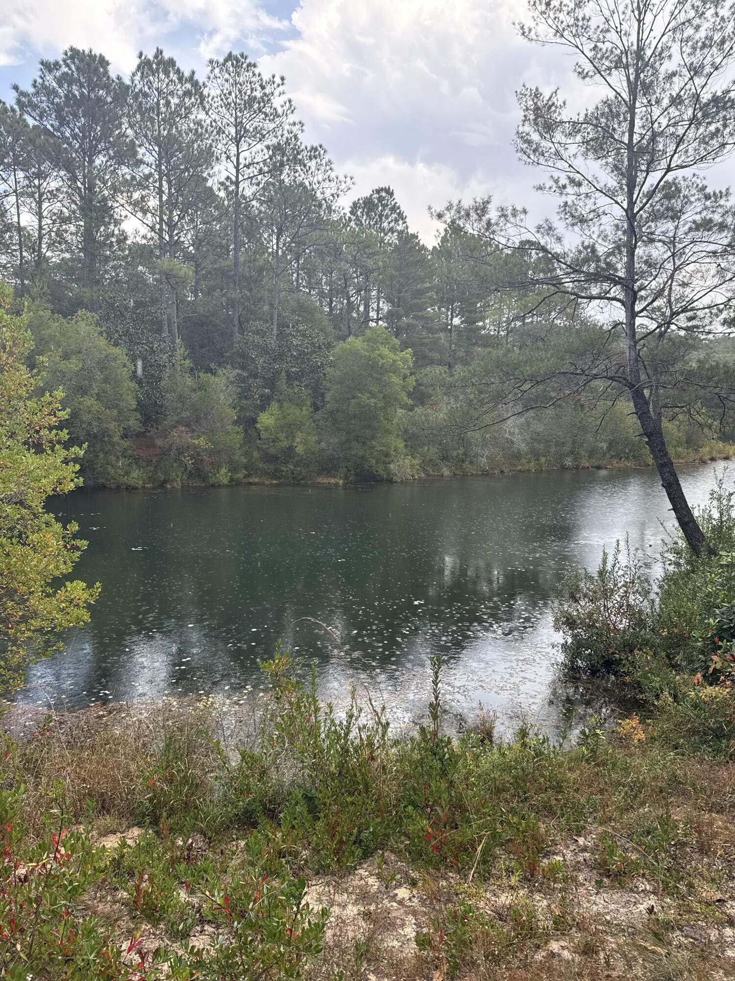 75 Evergreen Parkway DeFuniak Springs, FL 32435 - Photo 42 of 51 a view of a lake in between two of trees