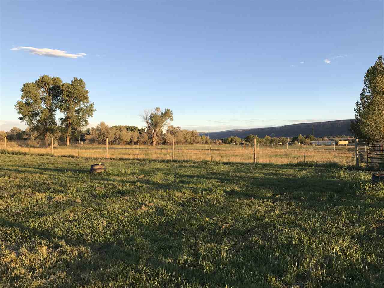 2035 H H 3/4 Road Fruita, CO 81521 - Photo 12 of 25 Gallery Image 12