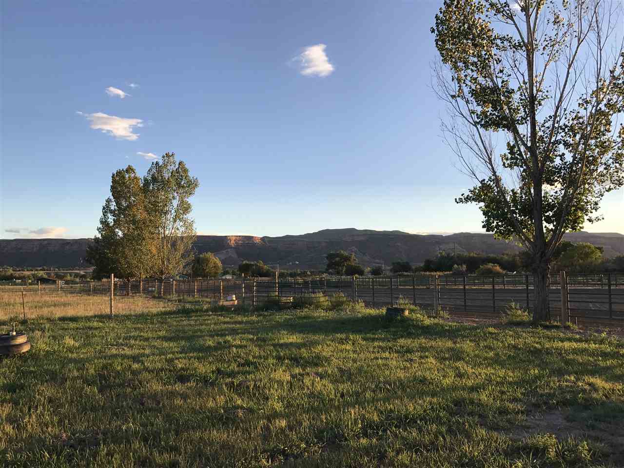 2035 H H 3/4 Road Fruita, CO 81521 - Photo 13 of 25 Gallery Image 13