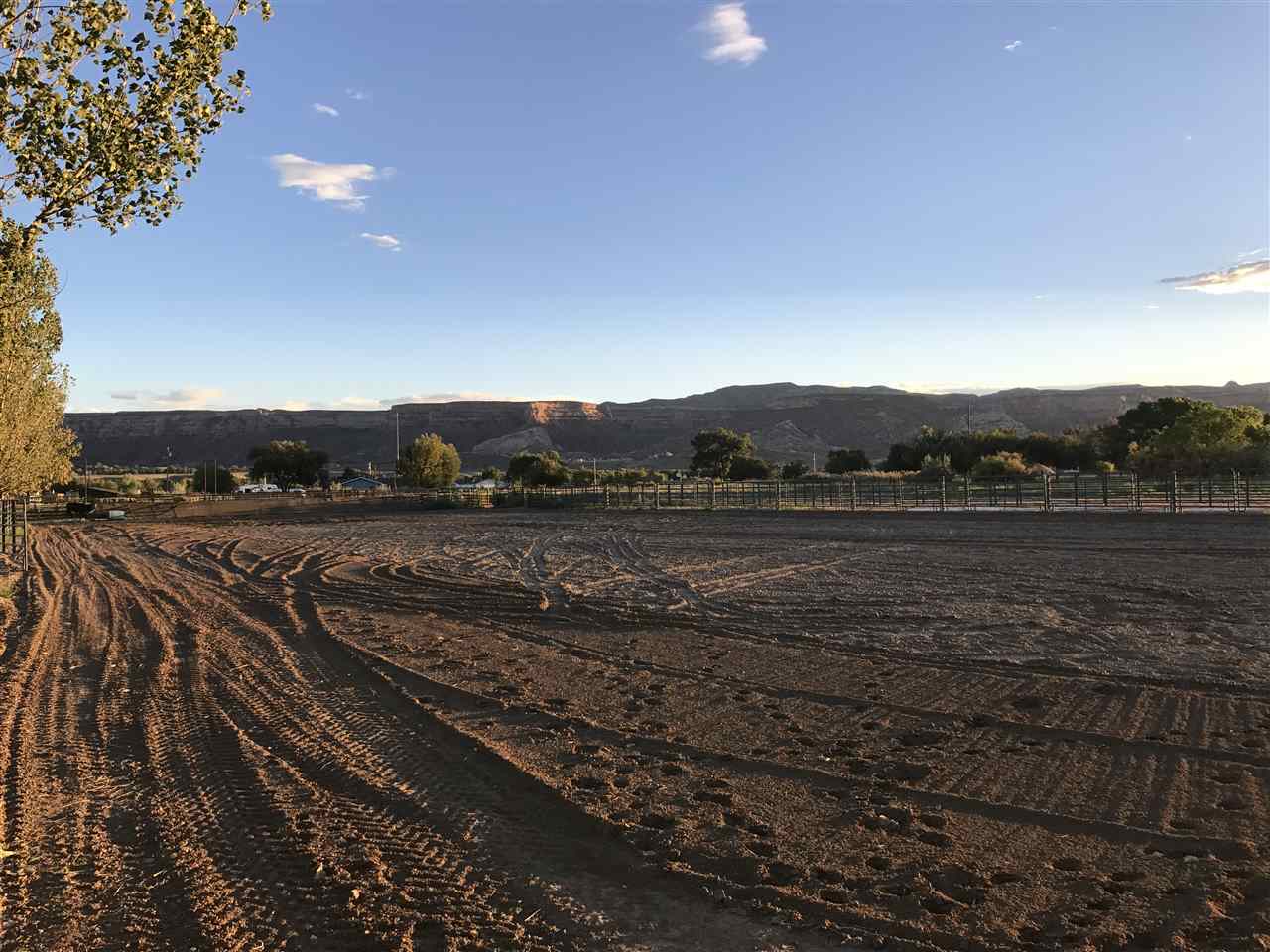 2035 H H 3/4 Road Fruita, CO 81521 - Photo 8 of 25 Gallery Image 8