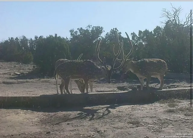 a view of a water fountain in front of a yard
