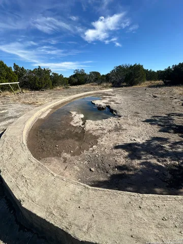 a view of a dry yard with trees in the background