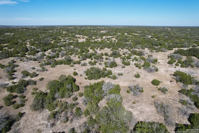 a view of a dry yard with lots of green space