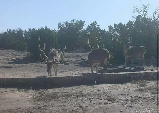 a view of a outdoor space