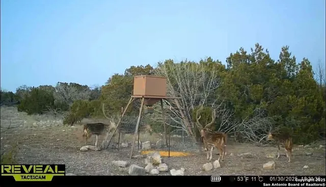 a view of a fountain in front of a house