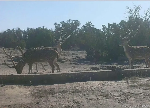 a view of a backyard of the house