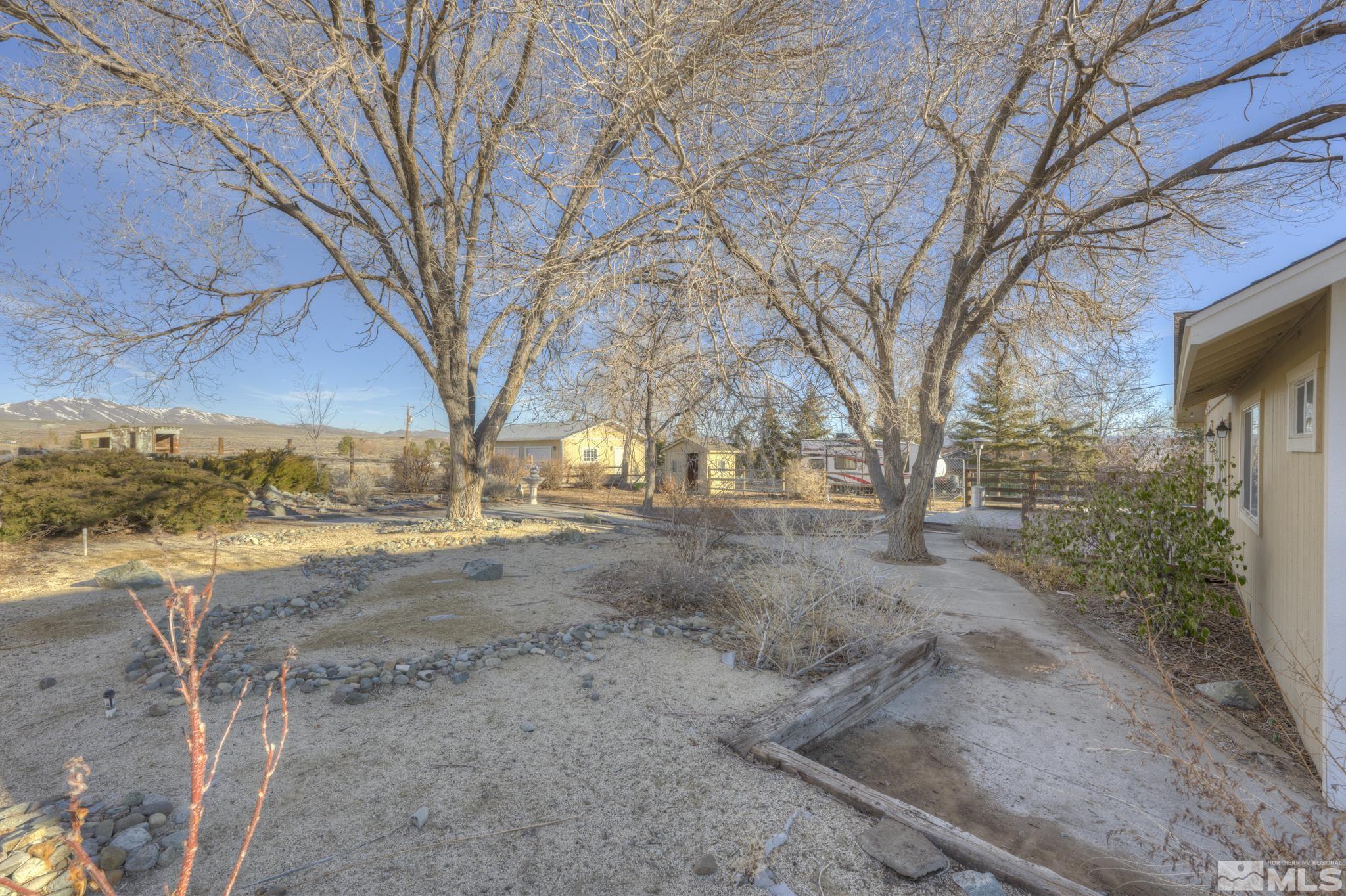 10500 Wells Fargo Road Reno, NV 89508 - Photo 25 of 37 a view of dirt yard with a large tree