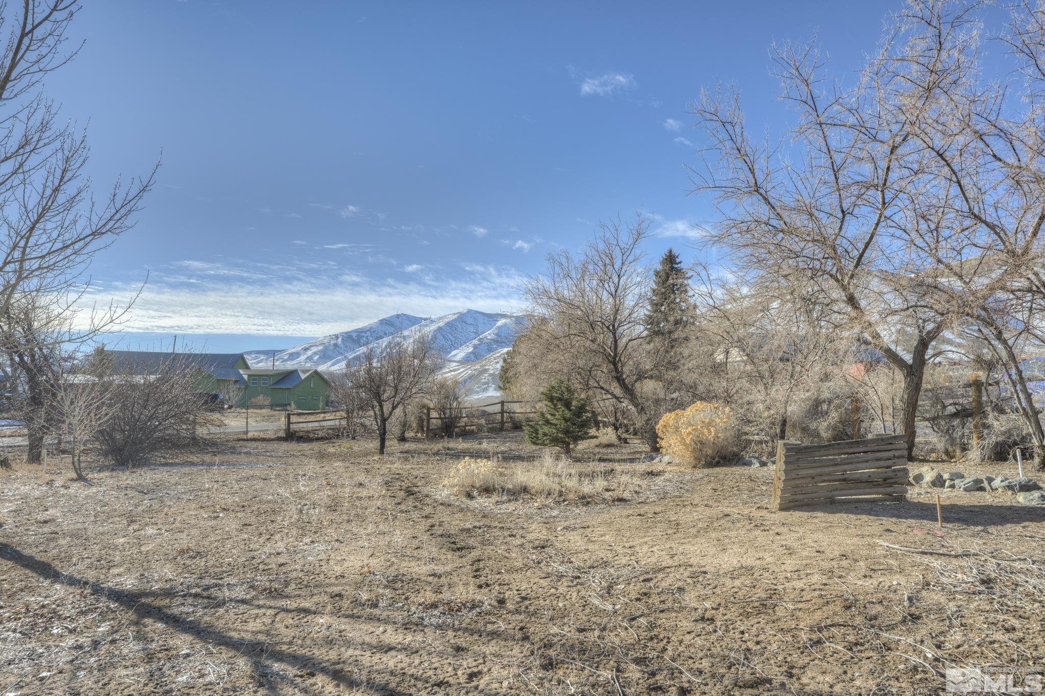 10500 Wells Fargo Road Reno, NV 89508 - Photo 29 of 37 a view of a yard with a tree