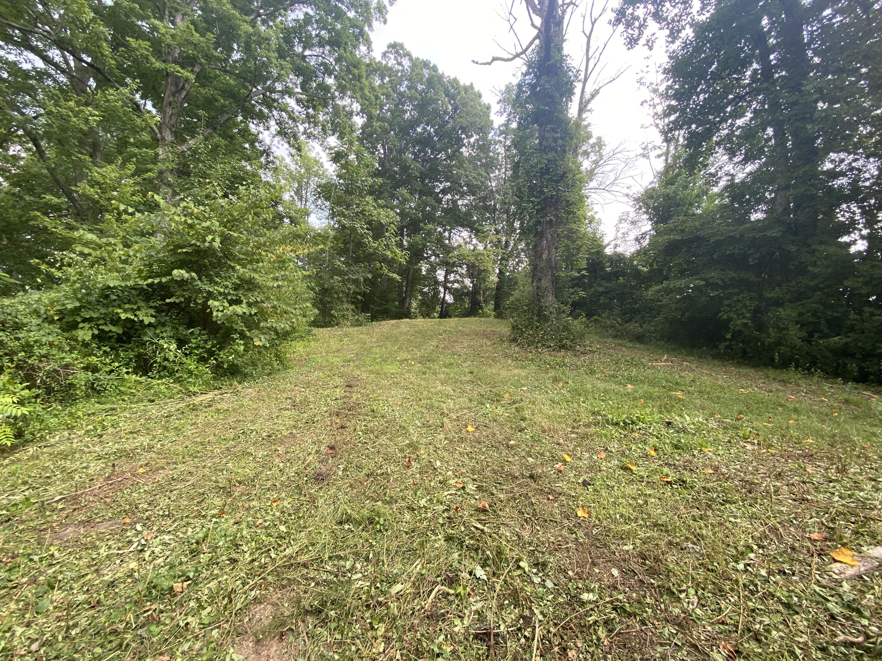 Laurel Road Clinton, TN 37716 - Photo 1 of 14 B606250A-098D-431A-B4D7-898337531B06