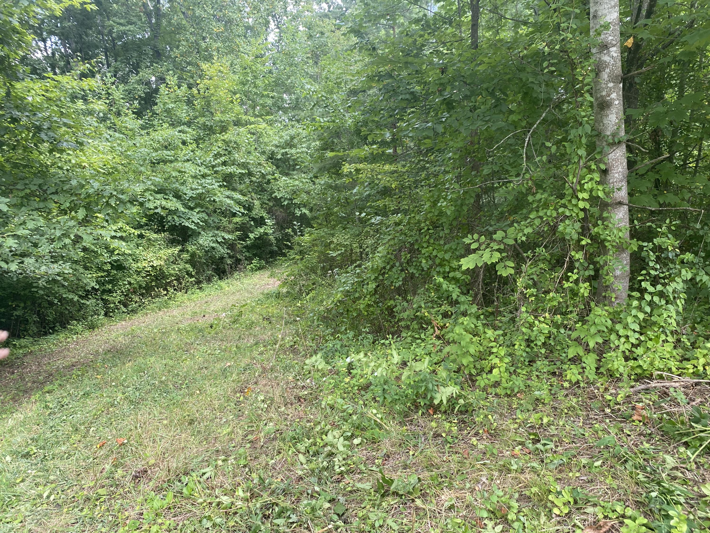 Laurel Road Clinton, TN 37716 - Photo 2 of 14 8F3332ED-3FE3-4240-B88E-BEF53EB8E7D4