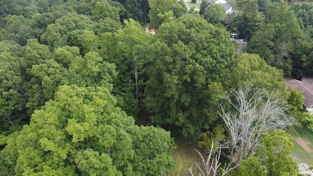 Laurel Road Clinton, TN 37716 - Photo 11 of 14 EB514629-D37C-4110-815A-AC0530F2CD2E