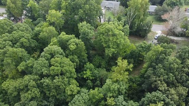 Laurel Road Clinton, TN 37716 - Photo 12 of 14 A88AF45D-90B7-4910-B431-4DA25E39E141