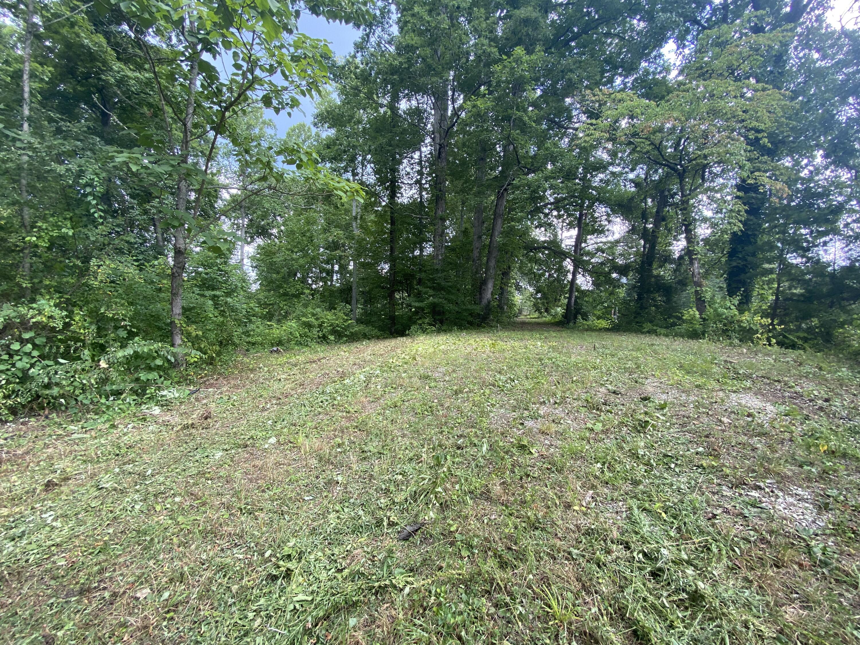 Laurel Road Clinton, TN 37716 - Photo 3 of 14 06610A28-60B9-464A-906B-44CBEF367D67