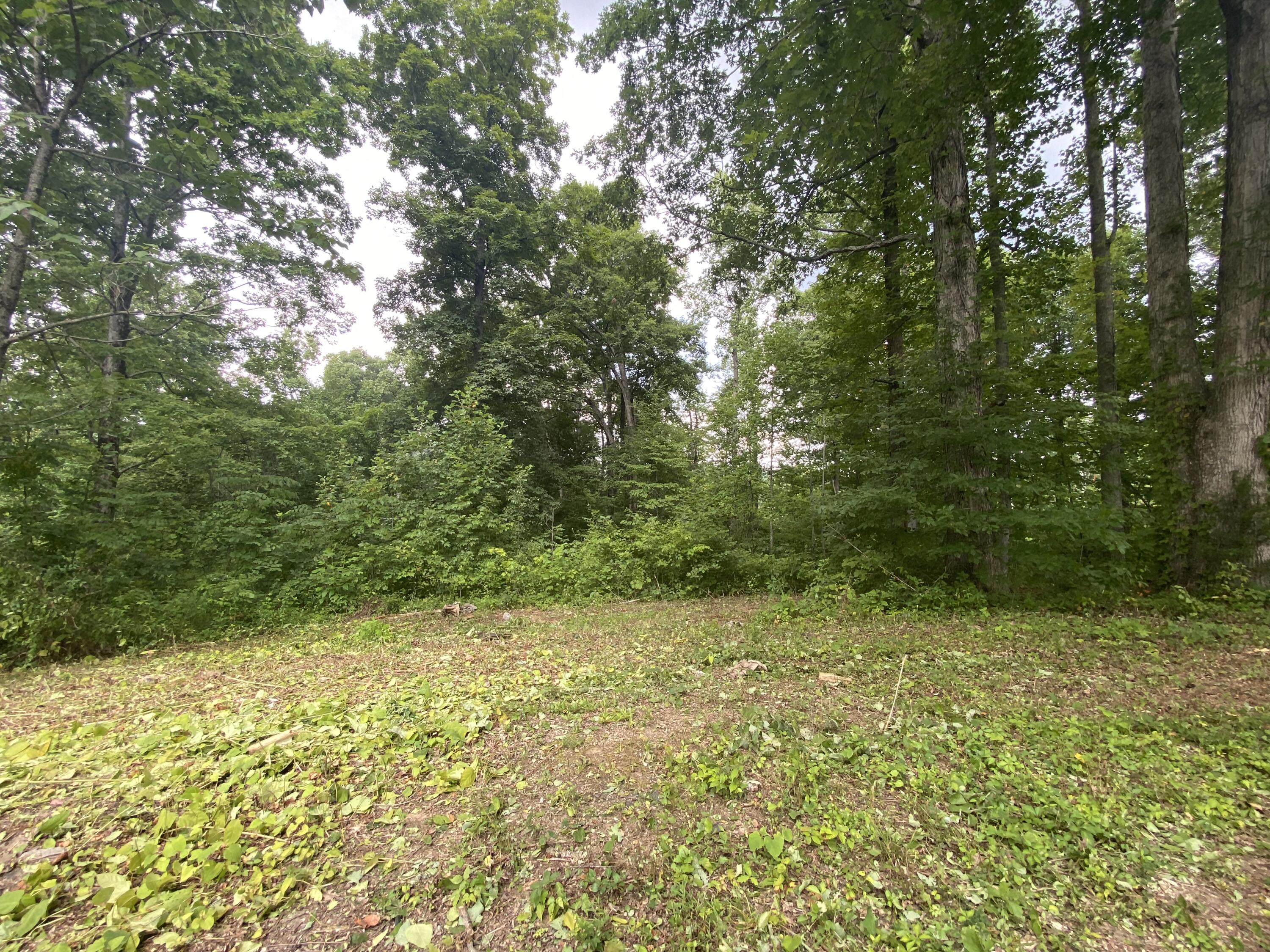 Laurel Road Clinton, TN 37716 - Photo 4 of 14 50210405-14CF-4F23-86E4-D84ADEC4BFBF