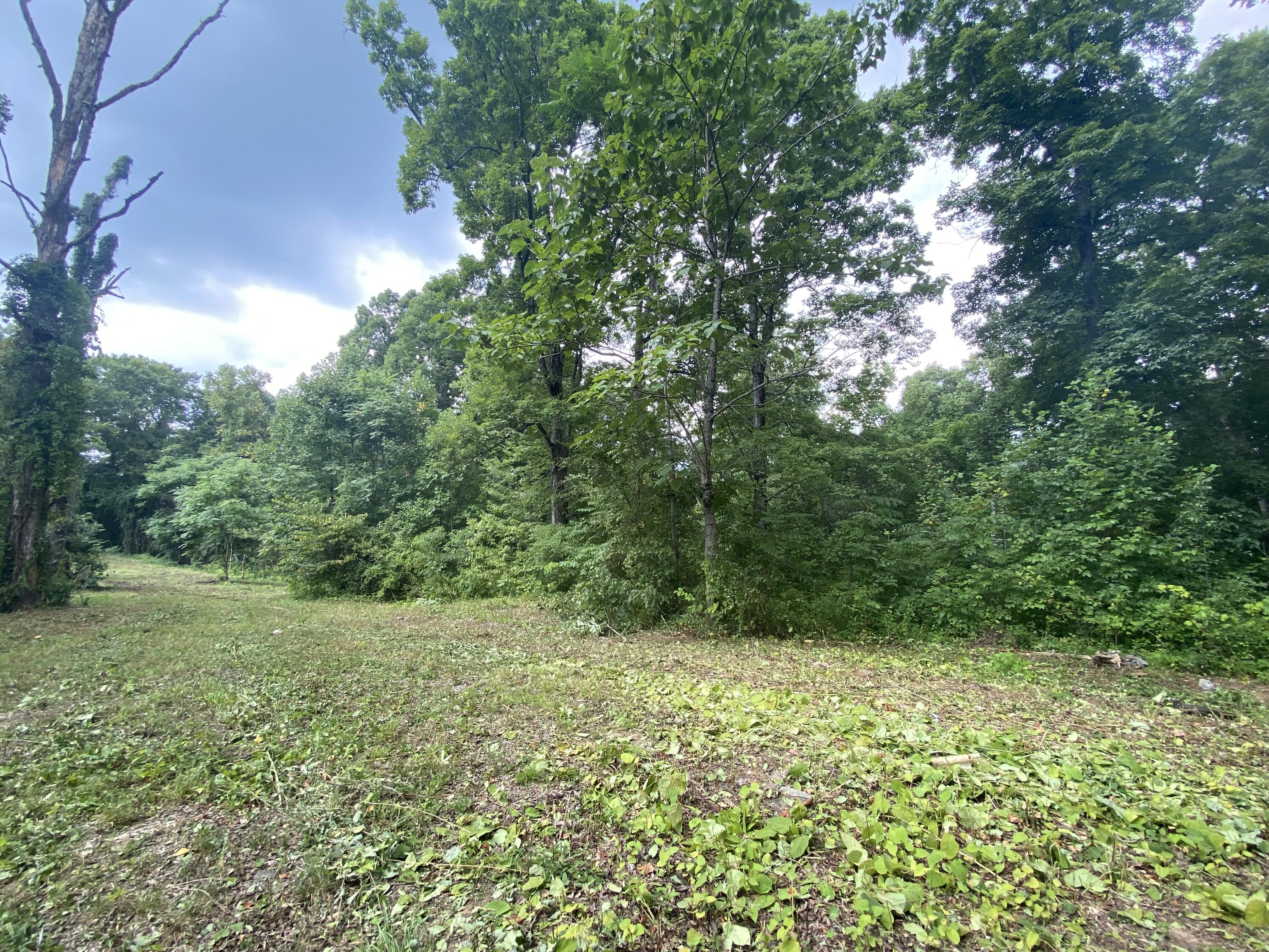 Laurel Road Clinton, TN 37716 - Photo 5 of 14 002443E0-AC6A-4BE2-BBEF-7EA1B6A6D978