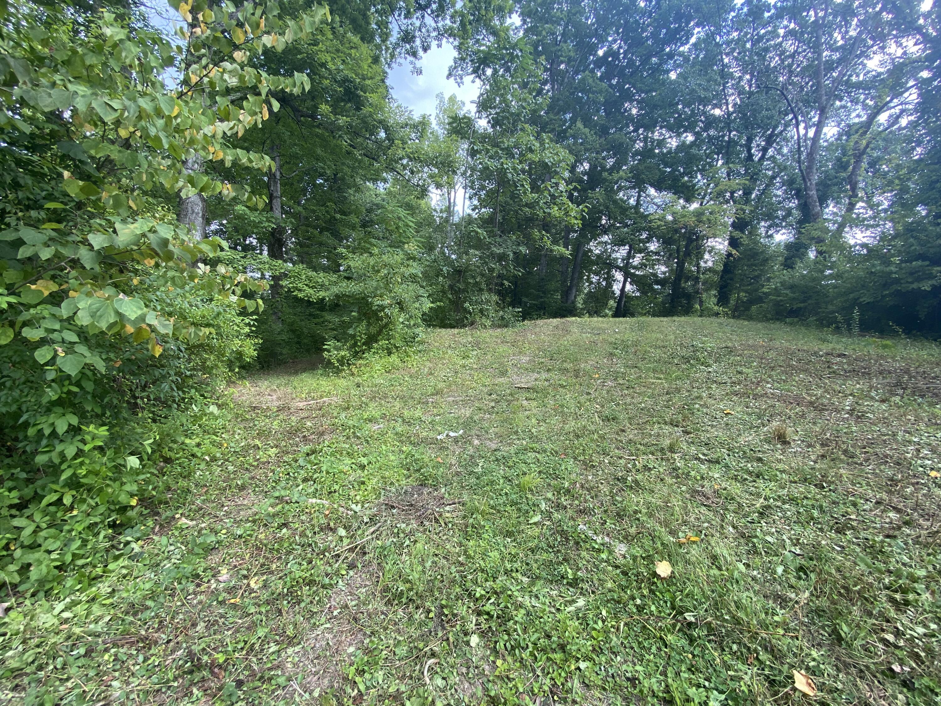 Laurel Road Clinton, TN 37716 - Photo 6 of 14 549BA252-4303-4F5B-864F-AB60307C1C03