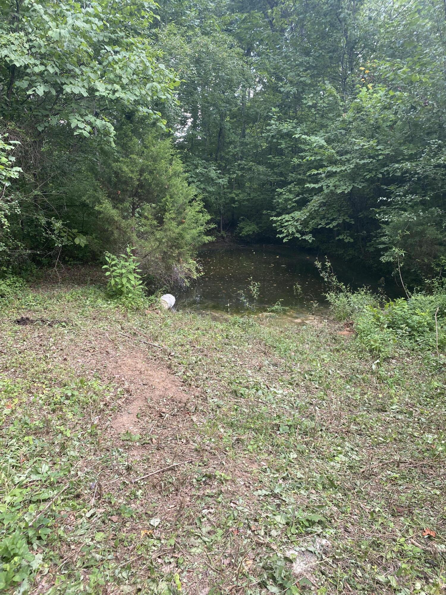 Laurel Road Clinton, TN 37716 - Photo 7 of 14 1D2C67BE-81F7-4DDE-B6E4-B25E3859D02D