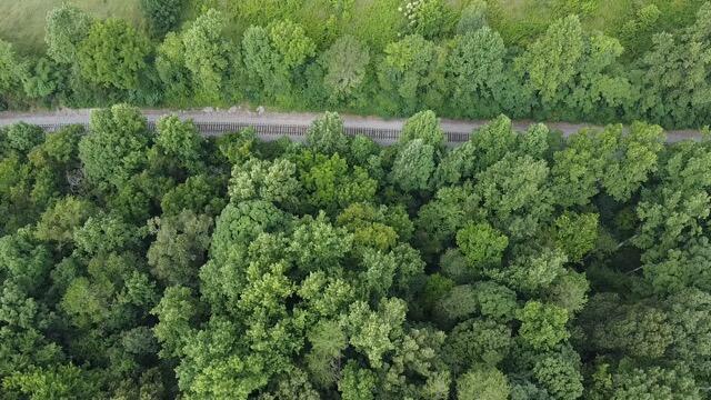 Laurel Road Clinton, TN 37716 - Photo 9 of 14 8B56FC40-AFA4-48DA-8020-B41E48C984AA