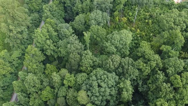 Laurel Road Clinton, TN 37716 - Photo 10 of 14 0D8FFDB3-6A55-4C33-9317-430E1D5B3698