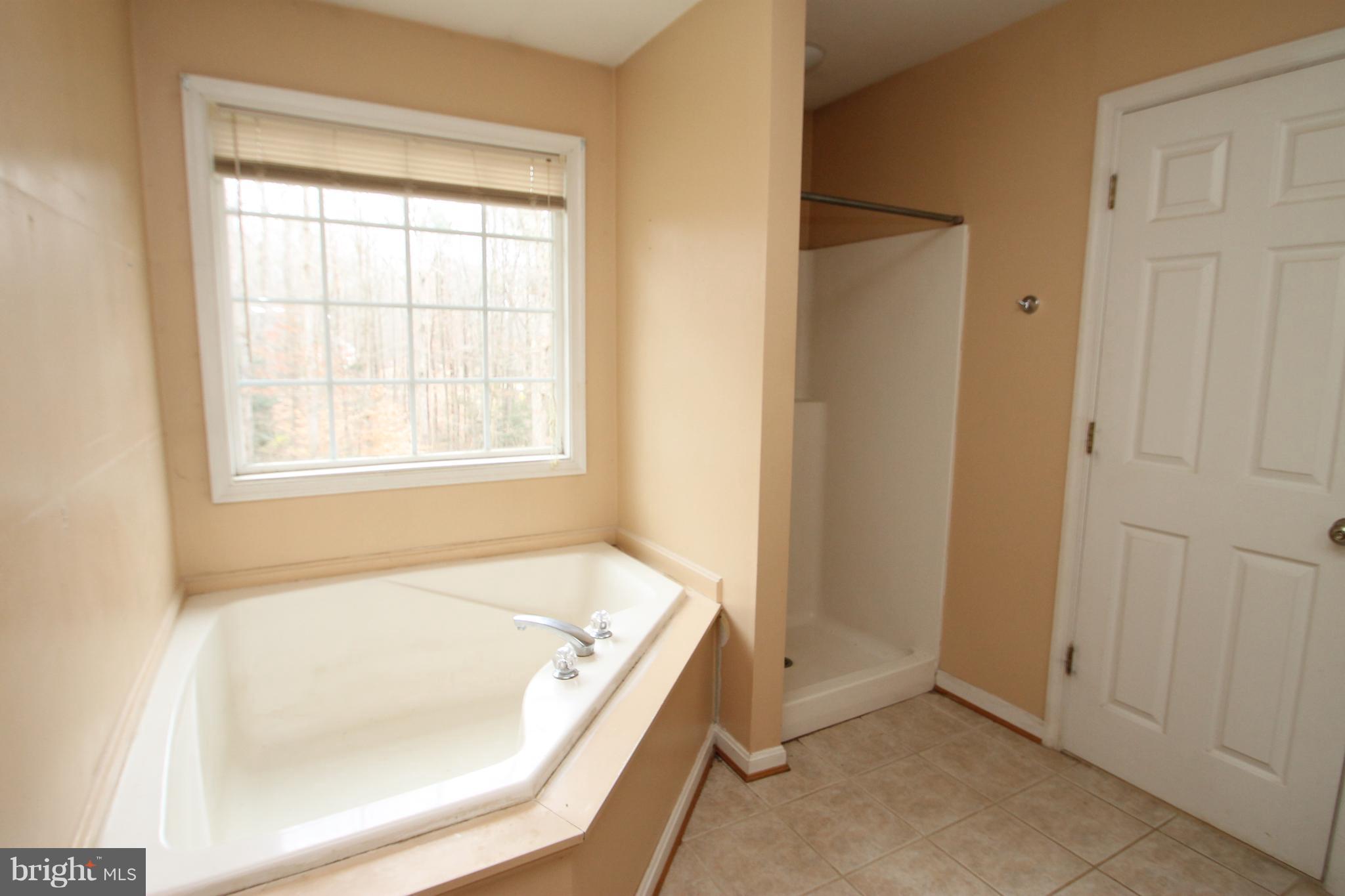 120 Lone Oak Road Partlow, VA 22534 - Photo 13 of 26 Master Bath with soaking tub & separate shower